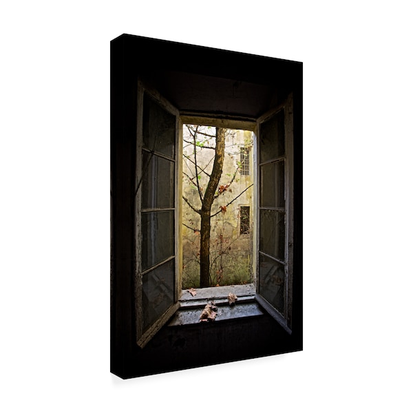 Marco Tagliarino 'Autumn In Asylum' Canvas Art,30x47